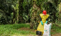 Permentan 10/2022 Atur Pupuk Subsidi untuk 9 Komoditas, Dosen Unsri: Saatnya Pupuk Organik Jadi Prioritas