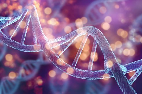 Mengenal Lebih Dalam tentang Tes DNA