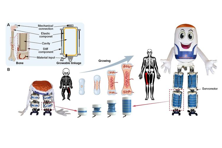 Ilustrasi cara kerja robot humanoid lucu GrowHR.