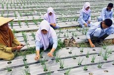 Merawat Cita-cita Menjadi Petani Sukses