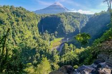 Panorama Kapas Biru Buka Lagi Usai Tanggap Darurat di Lumajang Selesai