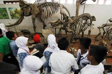 Pengunjung Museum Geologi Bandung Meningkat   