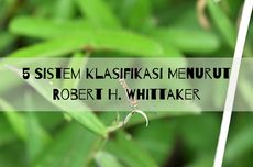 5 Sistem Klasifikasi Menurut Robert H. Whittaker