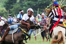 Parade 1.001 Kuda dan Festival Tenun Ikat di Sumba Diundur Juli 2017