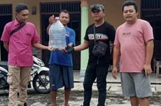 Pemotor di Sulsel Diserang Ular Piton, Terjatuh Lalu Dililit hingga Tewas