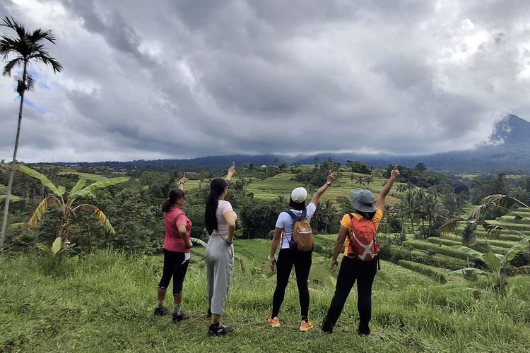 Sejumlah pengunjung saat trekking di Jatiluwih, Kabupaten Tabanan. 