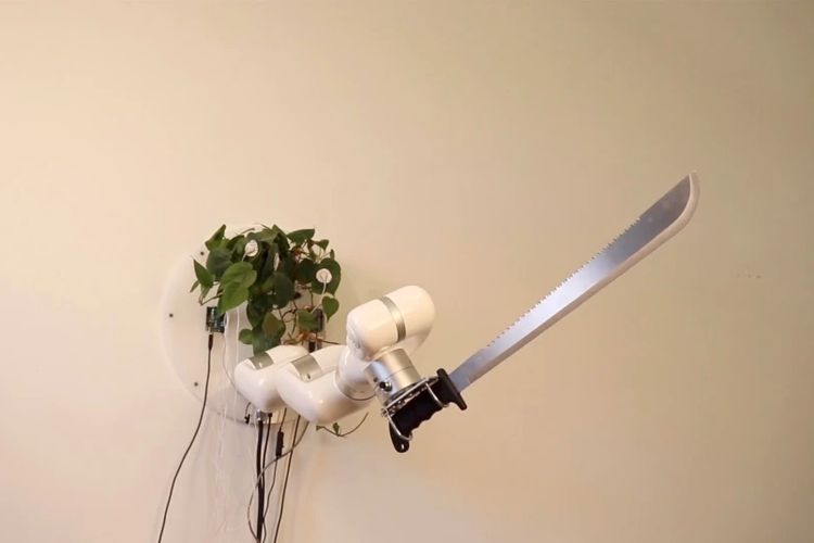 Eksperimen Robot, Tanaman Rumah Dipersenjatai Golok dan Bisa Gerak