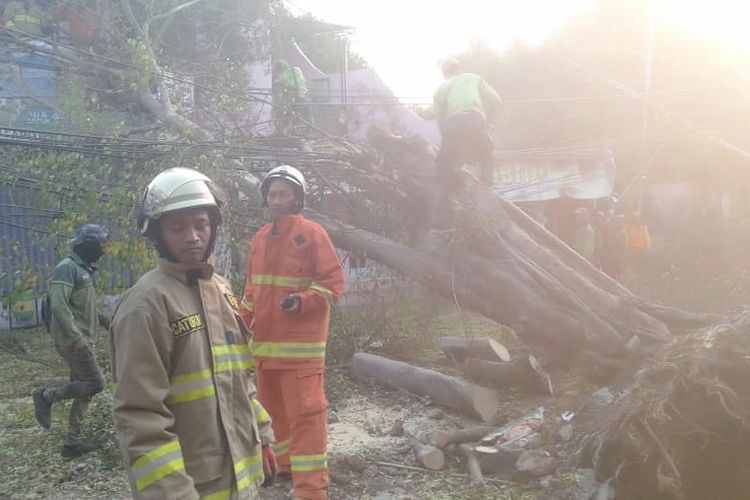 Pohon tumbang menutup Jalan Komodor Halim Perdana Kusuma, Makasar, Jakarta Timur, Kamis (24/10/2019).