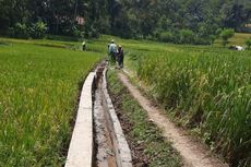 Kekeringan Melanda Sukabumi, Petani di Sana Diimbau Mentan Ikuti Asuransi 