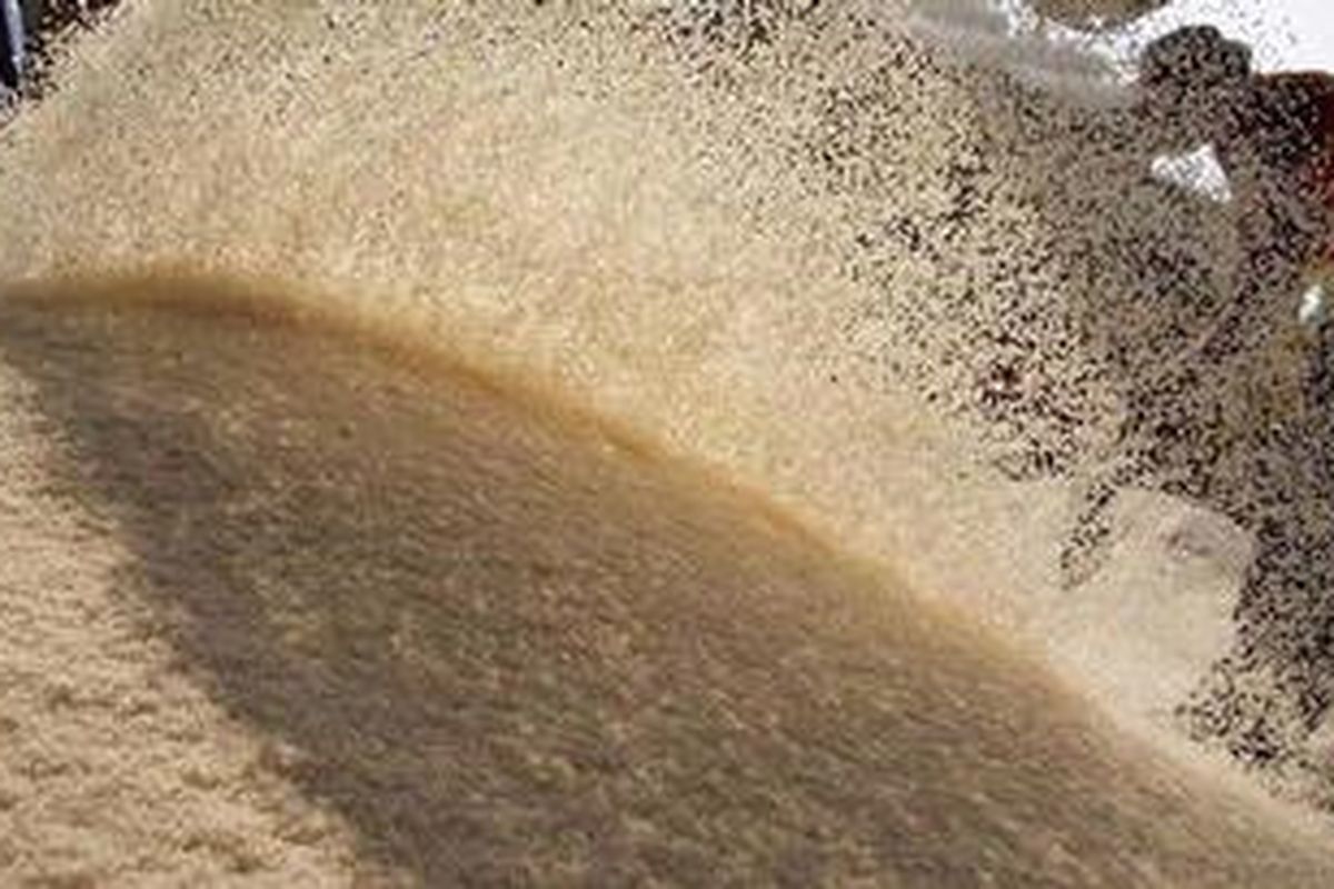 Pekerja menaikan beras ke atas bak truk untuk diperdagangkan.  