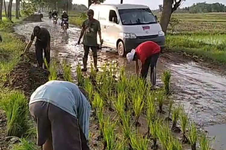 Tangkapan layar warga Jember yang protes jalan rusak dengan menanam padi di tengah jalan