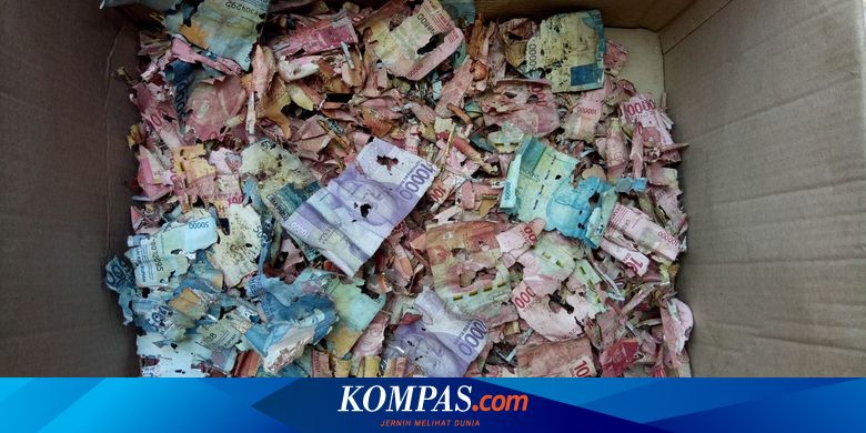 Penjelasan Bank Indonesia soal Penukaran Uang yang Dimakan Rayap