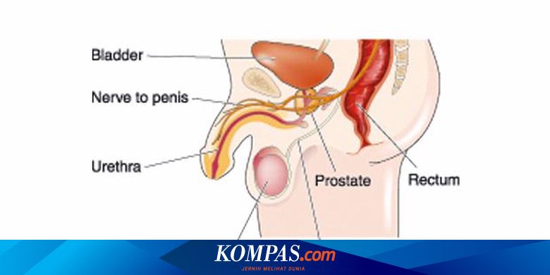 Prostatitis és duzzanat scrotum
