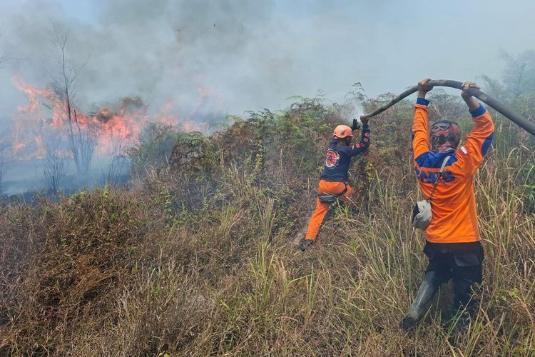 Karhutla Poso Membakar 50 Hektare Lahan dan Satu Sekolah, Api Masih Berkobar Setelah 24 Jam
