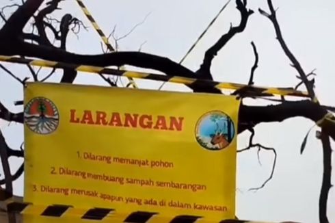 Makan Korban WNA, Spot Foto di Kawah Ijen Banyuwangi Akhirnya Ditutup 