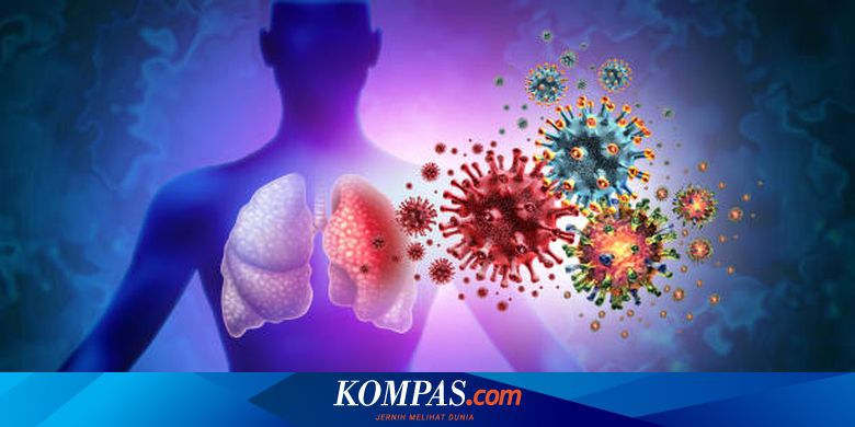 18 Penyebab Leukosit Tinggi yang Perlu Diperhatikan