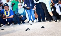 Jaga Keanekaragaman Hayati, Pertamina Ajak Delegasi ASCOPE ke Konservasi Penyu untuk Lepas Tukik