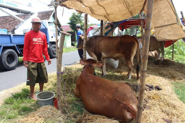 Korban banjir di Desa Ketapang Kuning, Kecamatan Sumobito, Kabupaten Jombang, Jawa Timur, mengungsikan ternak milik mereka ke jalan desa, Senin (14/3/2022).