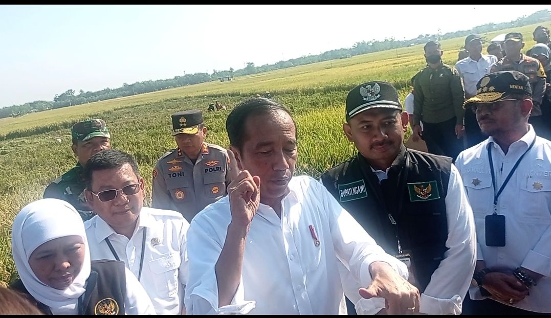 Jokowi: Harga Gabah Harus Ditentukan agar Tak Jatuh Saat Panen Raya