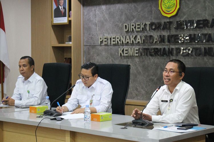 Kementan proyeksi produksi ayam ras surplus 47.226 ton di Oktober 2025