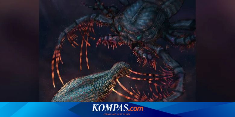 人間の歯は古代の魚「鎧」から進化しました