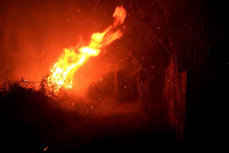 Kondisi kebakaran hutan dan lahan yang terjadi di Kelurahan Sri Mulya Kecamatan Sematang Borang, Palembang, Sumatera Selatan. Kebakaran itu saat ini telah mendekati kediaman warga, Selasa (15/10/2019).