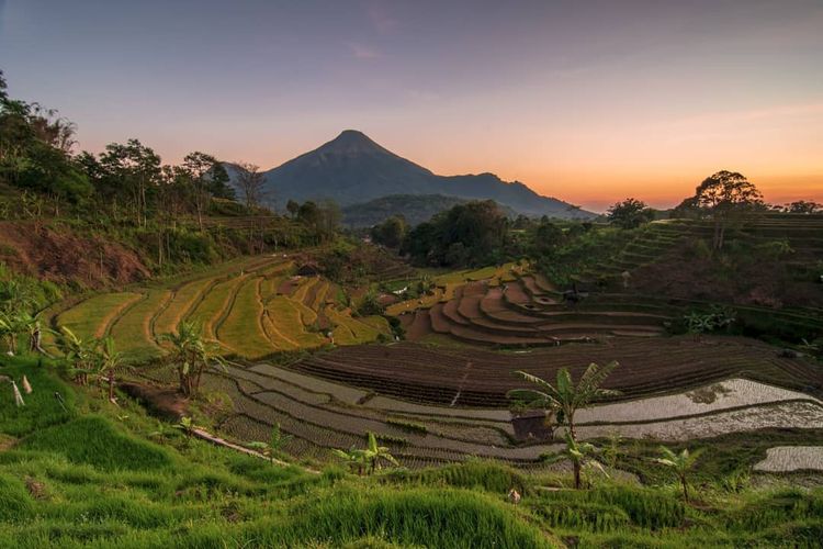 Selotapak, Trawas, Mojokerto, Jawa Timur DOK. Instagram.com/alan_kitkat