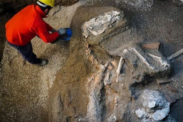 Sisa-sisa tubuh kuda berpelena ditemukan di lokasi bekas tempat tinggal petinggi Kerajaan Romawi.