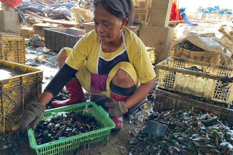 Asma, pengupas kerang hijau di Kampung Nelayan Cilincing, Jakarta Utara yang sudah bekerja lebih dari tujuh tahun lamanya. 