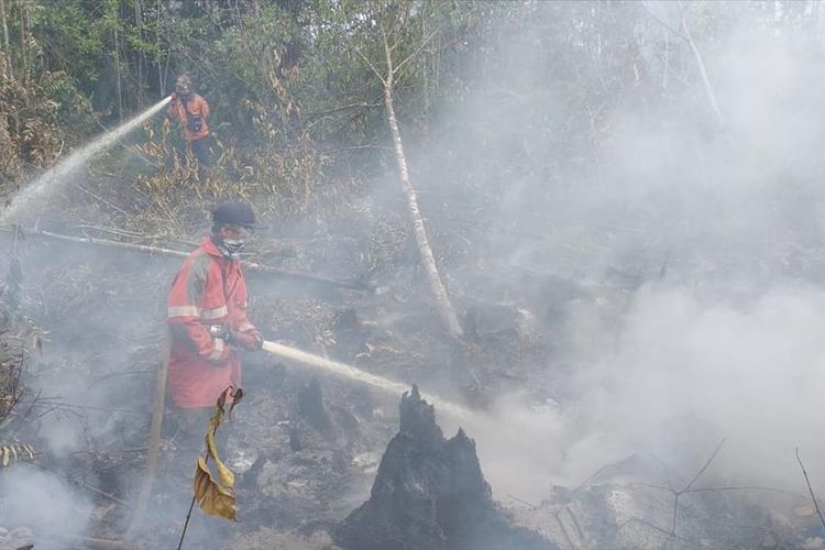 Petugas Manggala Agni memadamkan api karhutla di Kecamatan Dayun, Kabupaten Siak, Riau, Senin (5/8/2019).