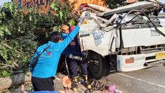 Kronologi Truk Kontainer Tertimpa Pohon di Karawang yang Mengakibatkan Dua Orang Tewas