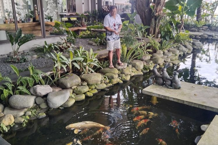 Hartono Soekwanto, legenda pehobi ikan koi yang menyabet dua kali gelar juara dunia dalam event Champion Nishikigoi Of the World tahun 2011 dan tahun 2013 di Jepang.