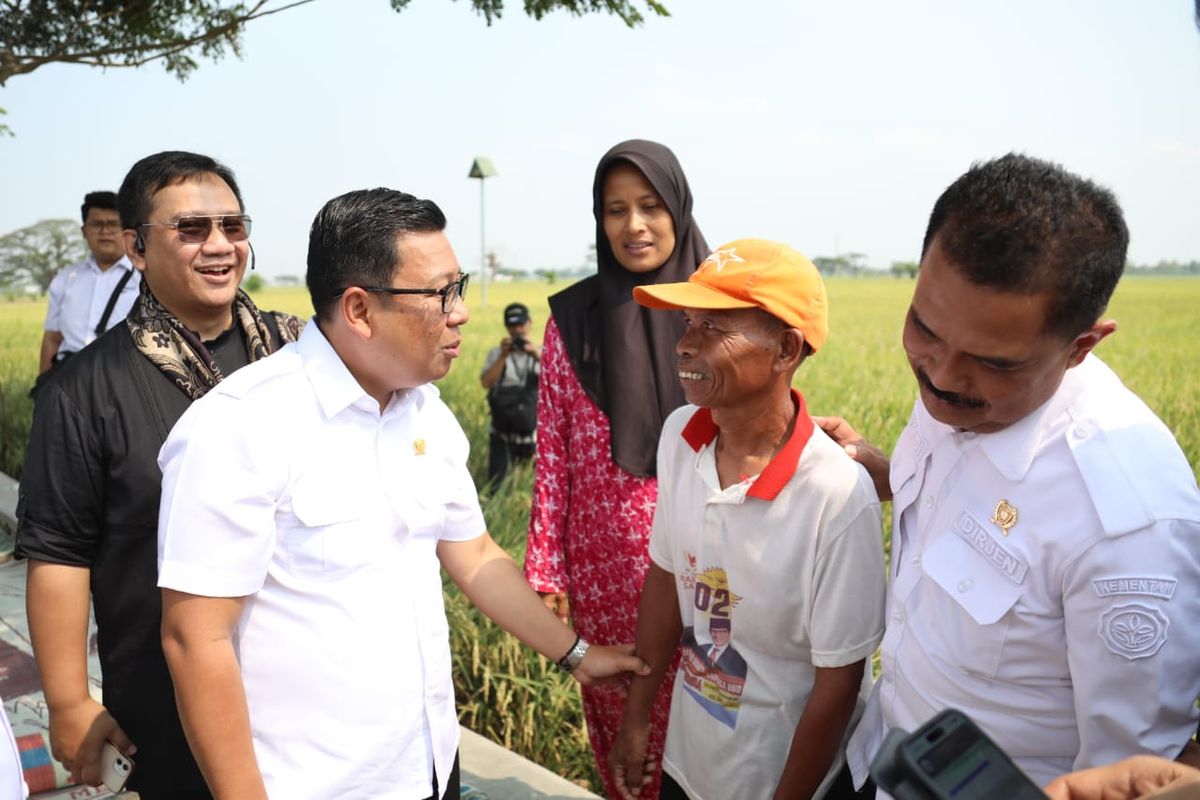 Plt Mentan Arief jalankan tanam dan panen padi di Sukaharjo.