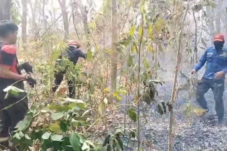 Akses Sulit, Damkar Padamkan Api Kahutla di Desa Landi Kanusuang Polman Pakai Ranting Kayu