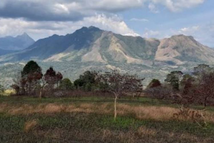 Gunung Gandang Dewata di Sulawesi Barat.