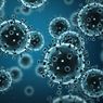 Ilmuwan Temukan Virus Misterius Tanpa Gen di Brasil, Seperti Apakah?