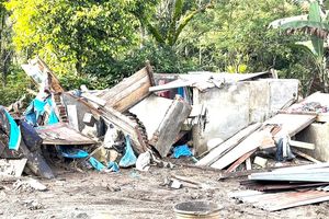 Bantuan 1.000 Genset ESDM Tak Sampai ke Dusun Sejahtera, Warga: Kami Gelap Gulita 35 Hari