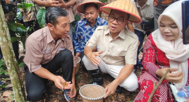 Menteri Yandri Panen Kopi Luwak di Lahan BUMDes Mekar Jaya Kaltim