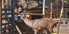 Serunya Bersepeda Gunung di Hutan Kota Gunung Ja'as Trenggalek