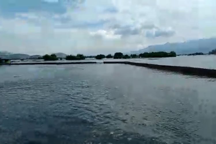 Tambak warga di Desa Bolo, Kecamatan Palibelo, Kabupaten Bima, tergenang banjir rob pada Rabu (14/6/2022) kemarin, Kamis (16/6/2022)