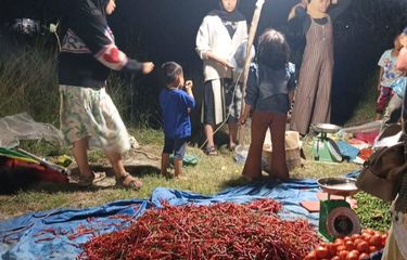 Pedagang cabai asal Kabupaten Aceh Tengah dan Kabupaten Bener Meriah menggelar dagangan di jalan protokol Kota Lhokseumawe, Sabtu (20/12/2025) malam
