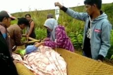 Perjuangan Ibu Hamil di Luwu Utara untuk Melahirkan, Ditandu 8 Km Lewati Jalan Berkubang dan Naik Turun Lembah