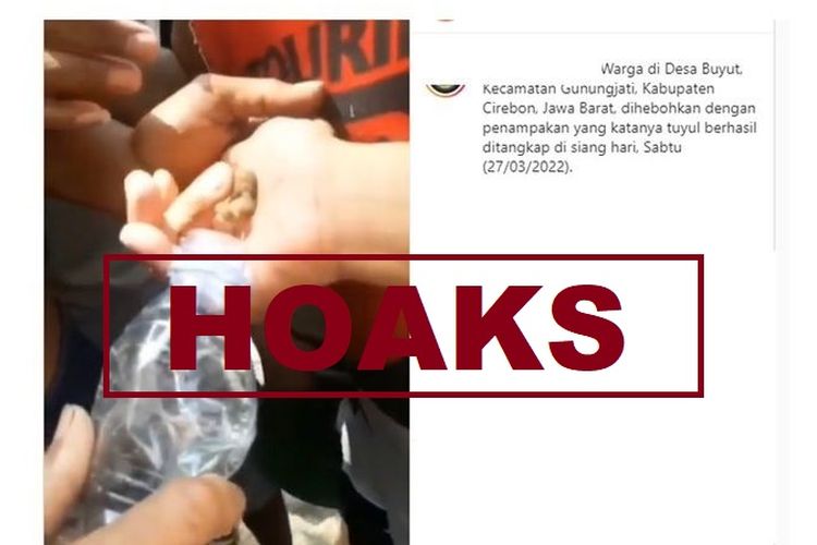 Hoaks, video penemuan tuyul di Cirebon