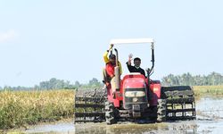Tingkatkan Produktivitas Pertanian, Ini Inovasi dan Modernisasi yang Dilakukan Kementan