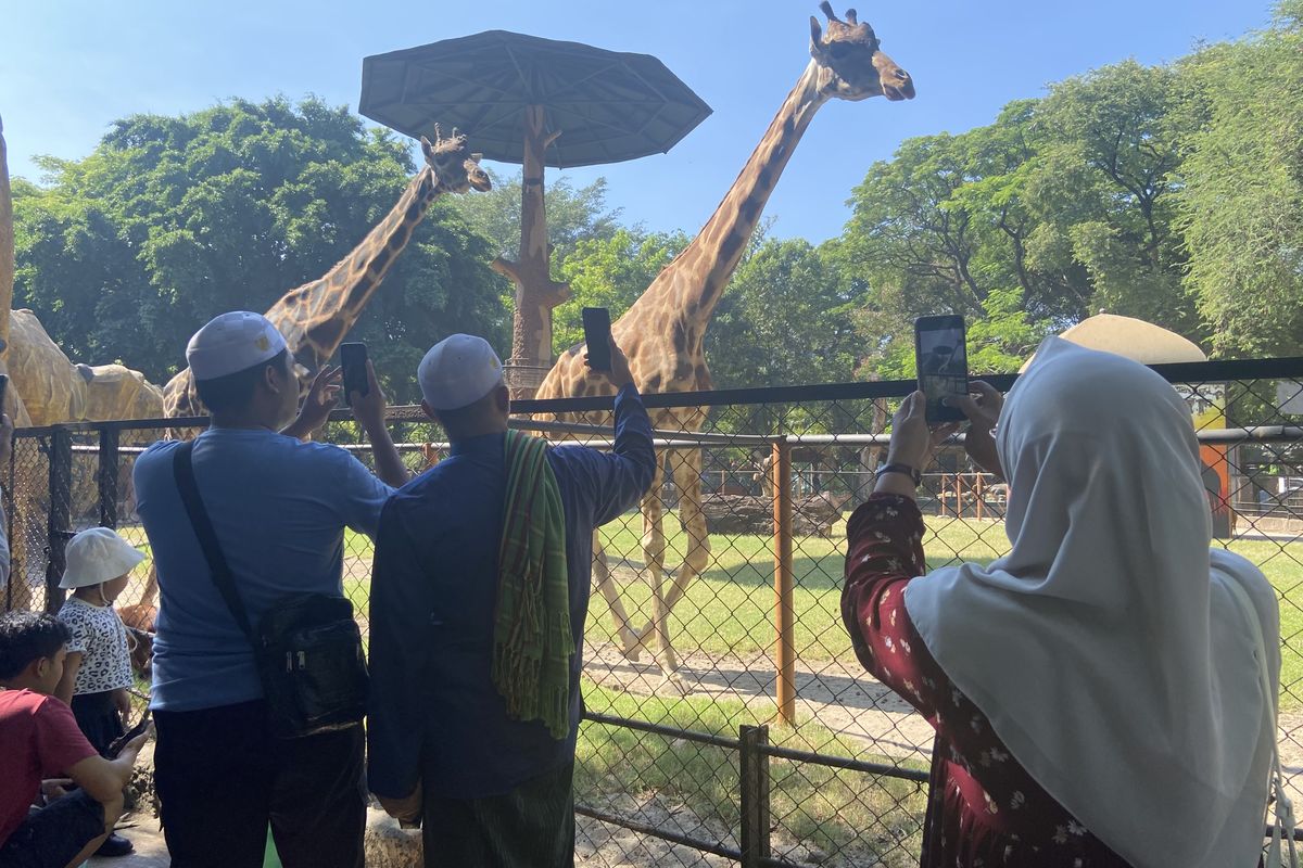 Suasana Kebun Binatang Surabaya pada Jumat (5/9/2025).