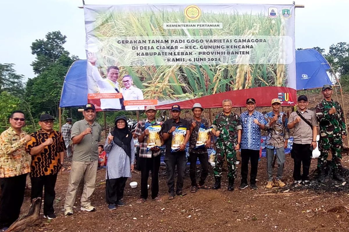 Sekretaris Ditjenbun Heru Tri Widarto bersama Tenaga Ahli Menteri Bidang Pemanfaatan Sumber Daya Lahan Marginal melakukan Gerakan Tanam Benih Padi Varietas Gamagora melalui program Kesatria di Kabupaten Lebak, Kamis (7/6/2024). 
