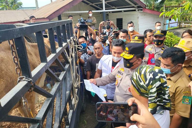 Kapolda Sumut, Irjen Pol RZ Panca Putra Simanjuntak melakukan sidak di peternakan sapi di Desa Bukit Kubu, Besitang, Kabupaten Langkat, Selasa (24/5/2022) untuk mengatasi penularan penyakit mulut dan kuku (PMK).