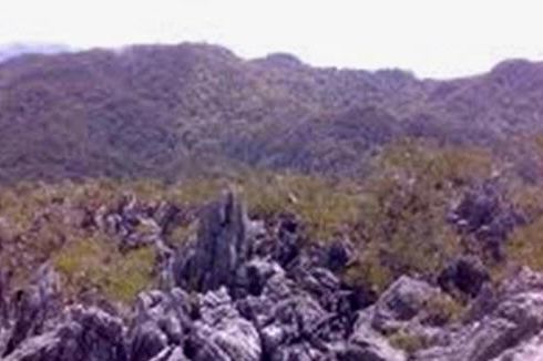 Dua Pendaki Gunung Mekongga Ditemukan Meninggal