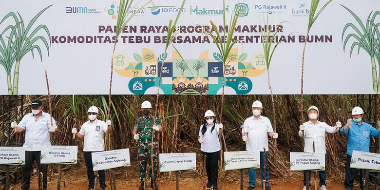 Panen tebu bersama Pupuk Kujang Cikampek dan ID FOOD yang dihadiri oleh Asisten Deputi Pupuk Dan Pangan Kementerian BUMN, Zuryati Simbolon, Senin (15/8/2022).