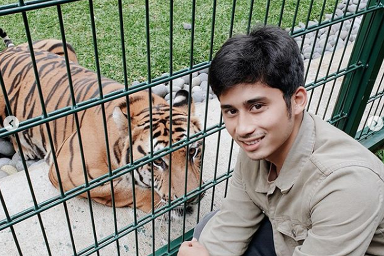 Sepupu Raffi Ahmad, Alshad Kautsar Ahmad, memelihara harimau benggala.